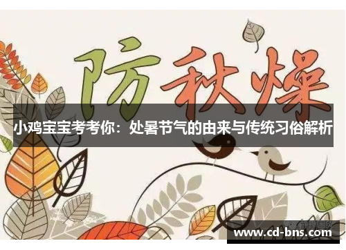 小鸡宝宝考考你：处暑节气的由来与传统习俗解析